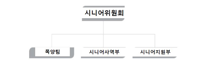 시니어조직.JPG